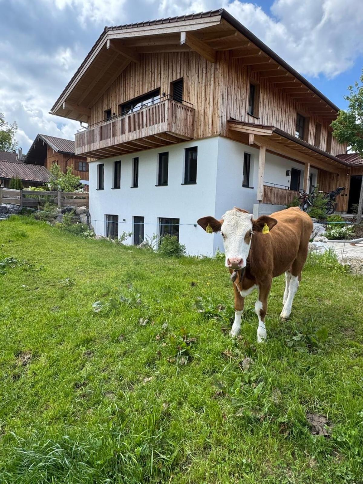 Ferienwohnung Gschwendt ميسباش المظهر الخارجي الصورة